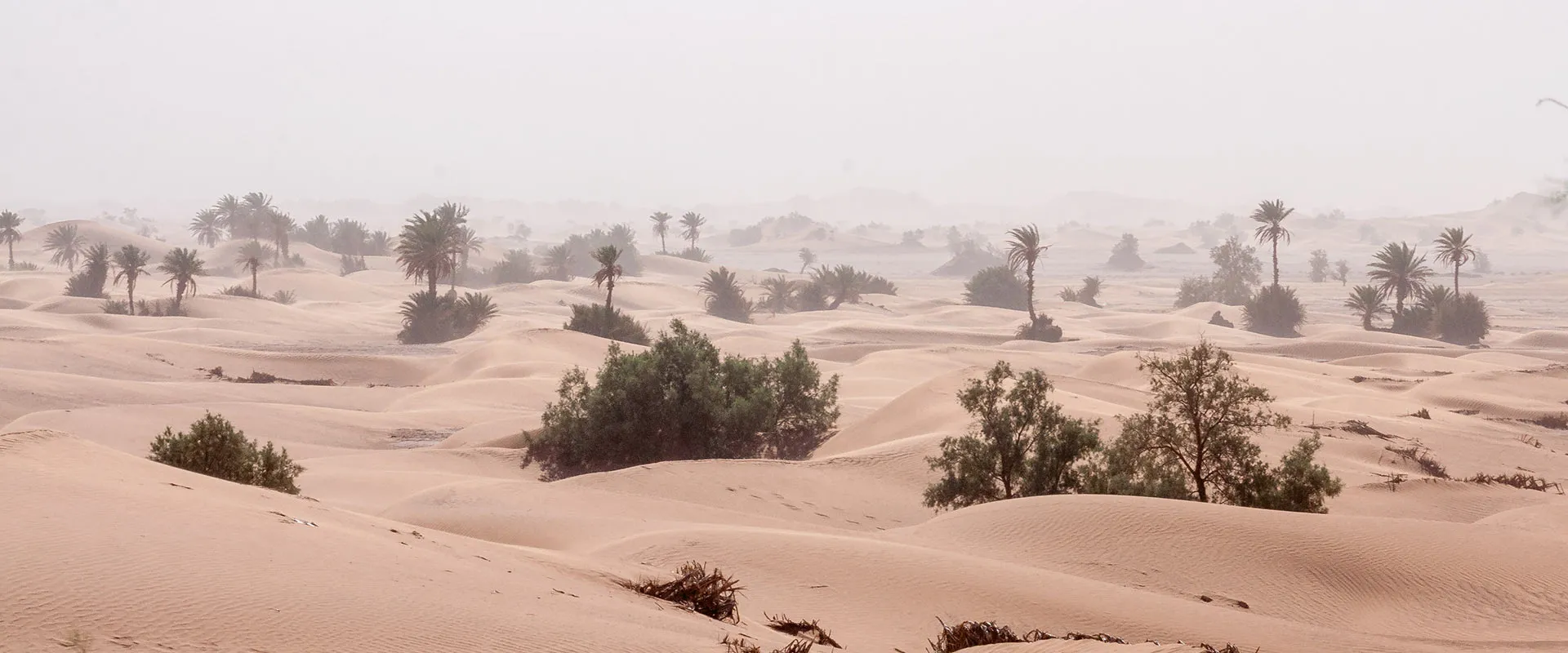 The desert in Morocco