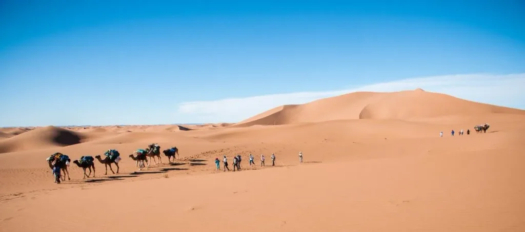 Randonnées dans le désert au Maroc