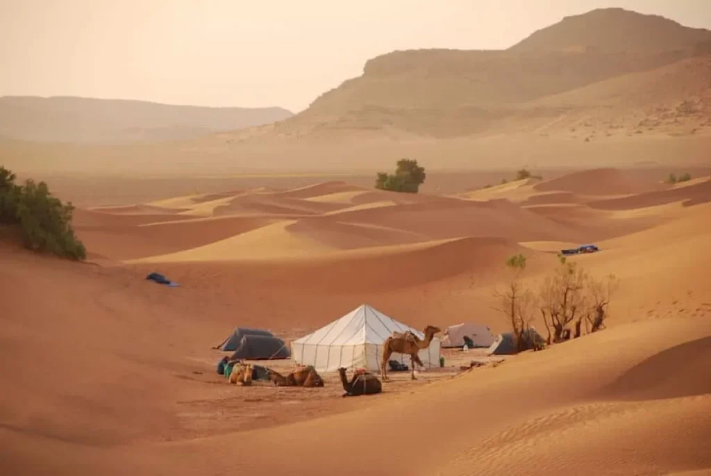 Bivouac dans le désert