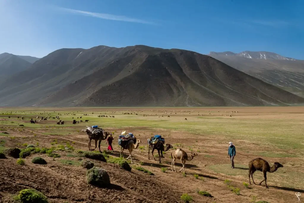 Une caravane de nomades dans le Sud-Est marocain.