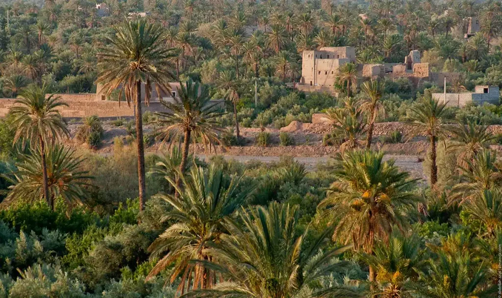 Skoura oasis