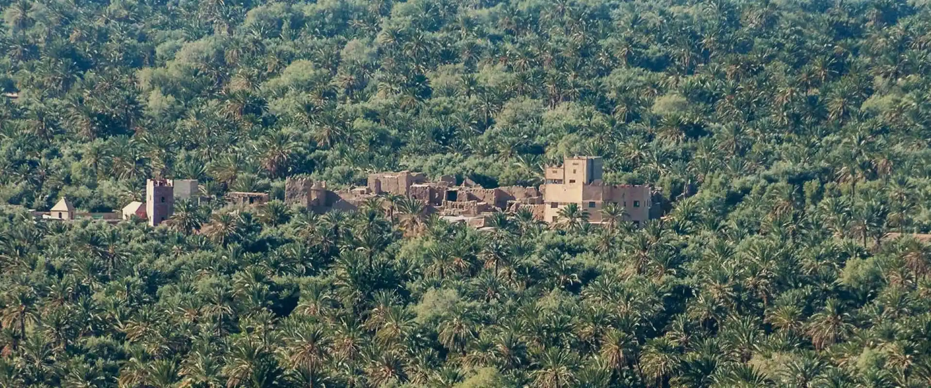 Les oasis et palmeraie du sud-est Maroc