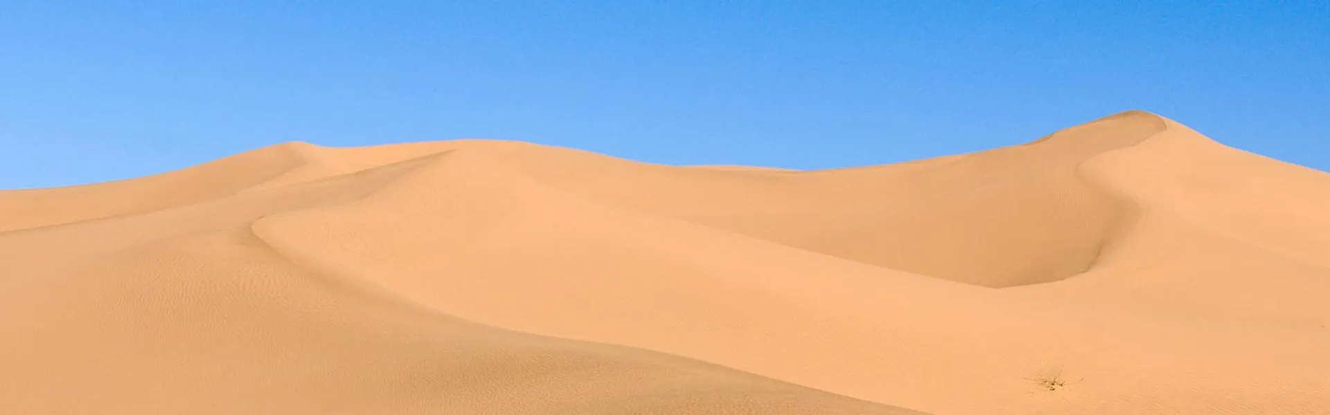 La désert du Sahara