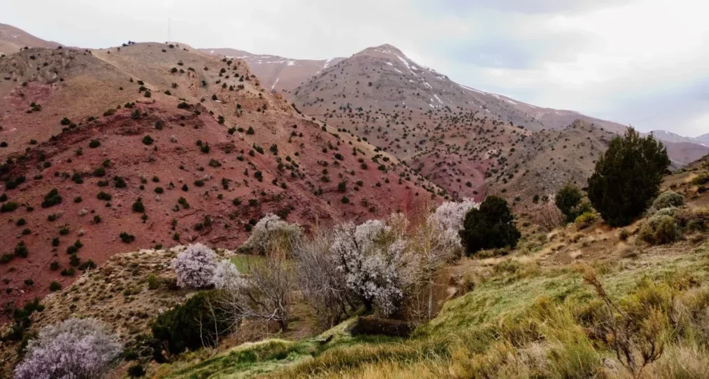 The M’Goun mountains – by A. Azizi