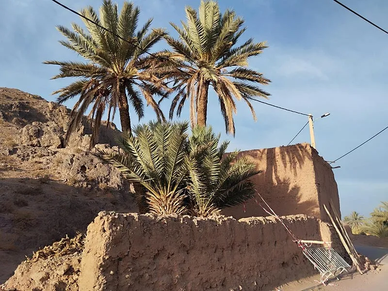The mausoleum of Moulay Yaâcoub before its restoration