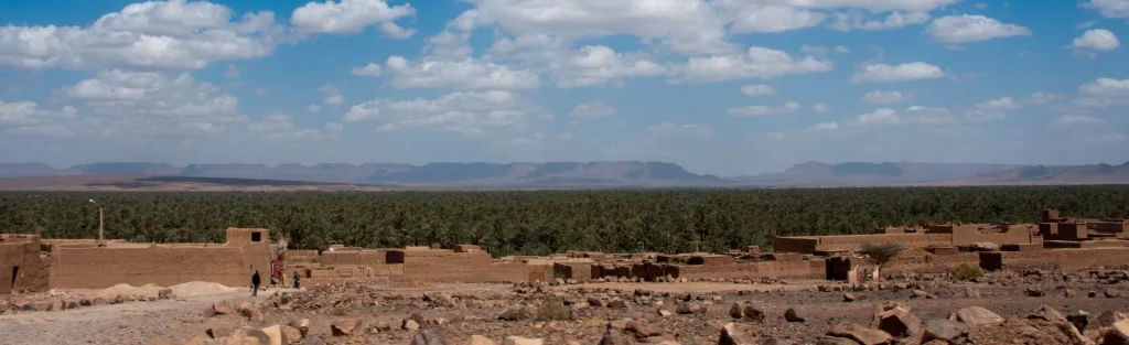 The Zagora palm grove