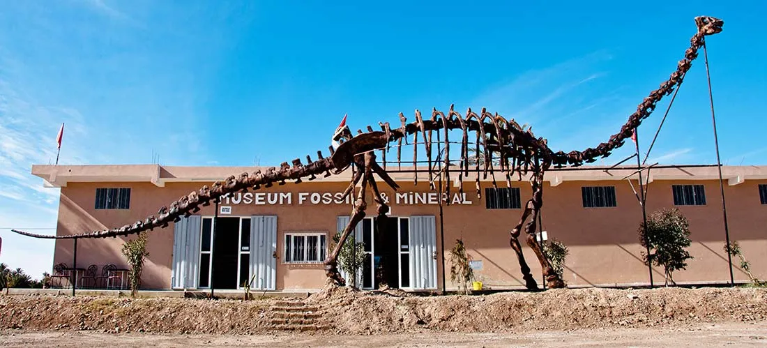 The Museum of Fossils and Minerals near Erfoud